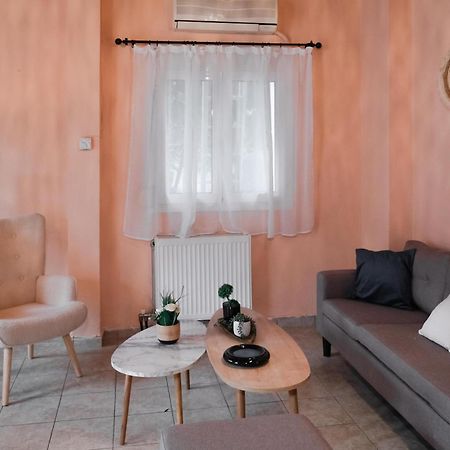 Káto Lekhónia Cozy House In Pelion 아파트 외부 사진