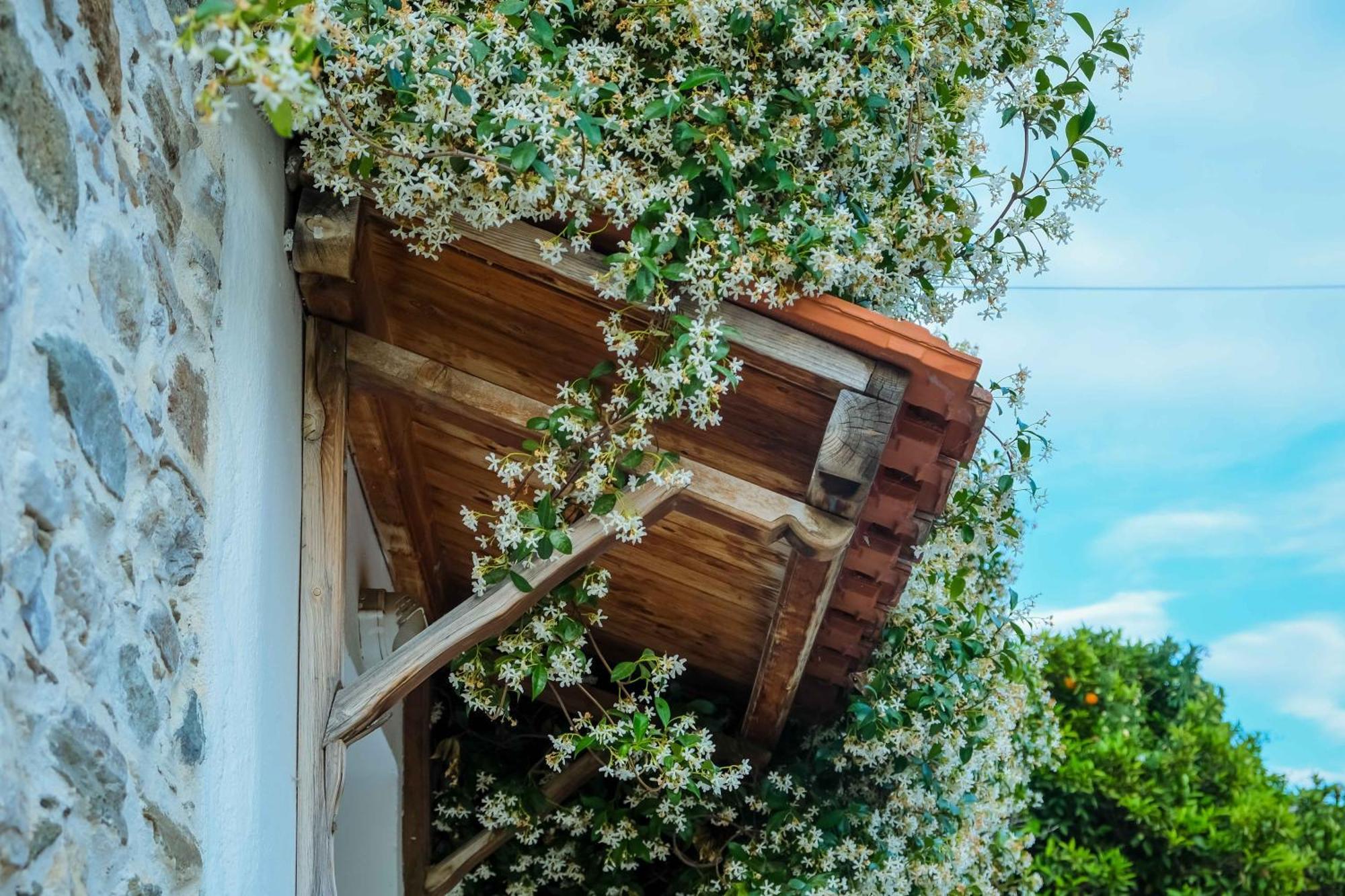 Káto Lekhónia Cozy House In Pelion 아파트 외부 사진